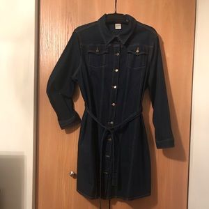 BLUE DENIM BUTTON UP DRESS/COAT